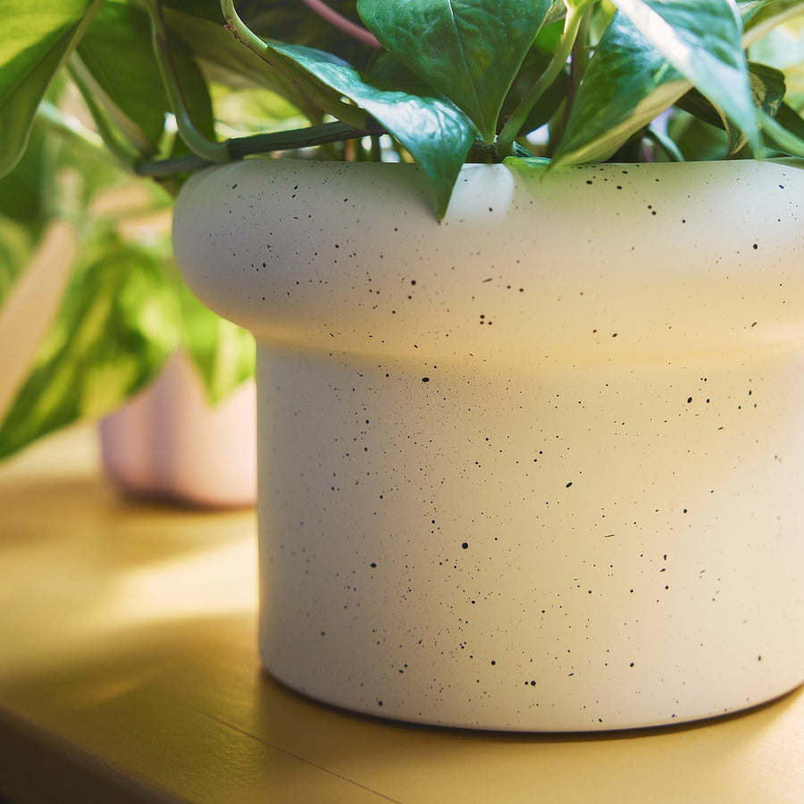 DOFTRIPS plant pot, off-white, 16 cm