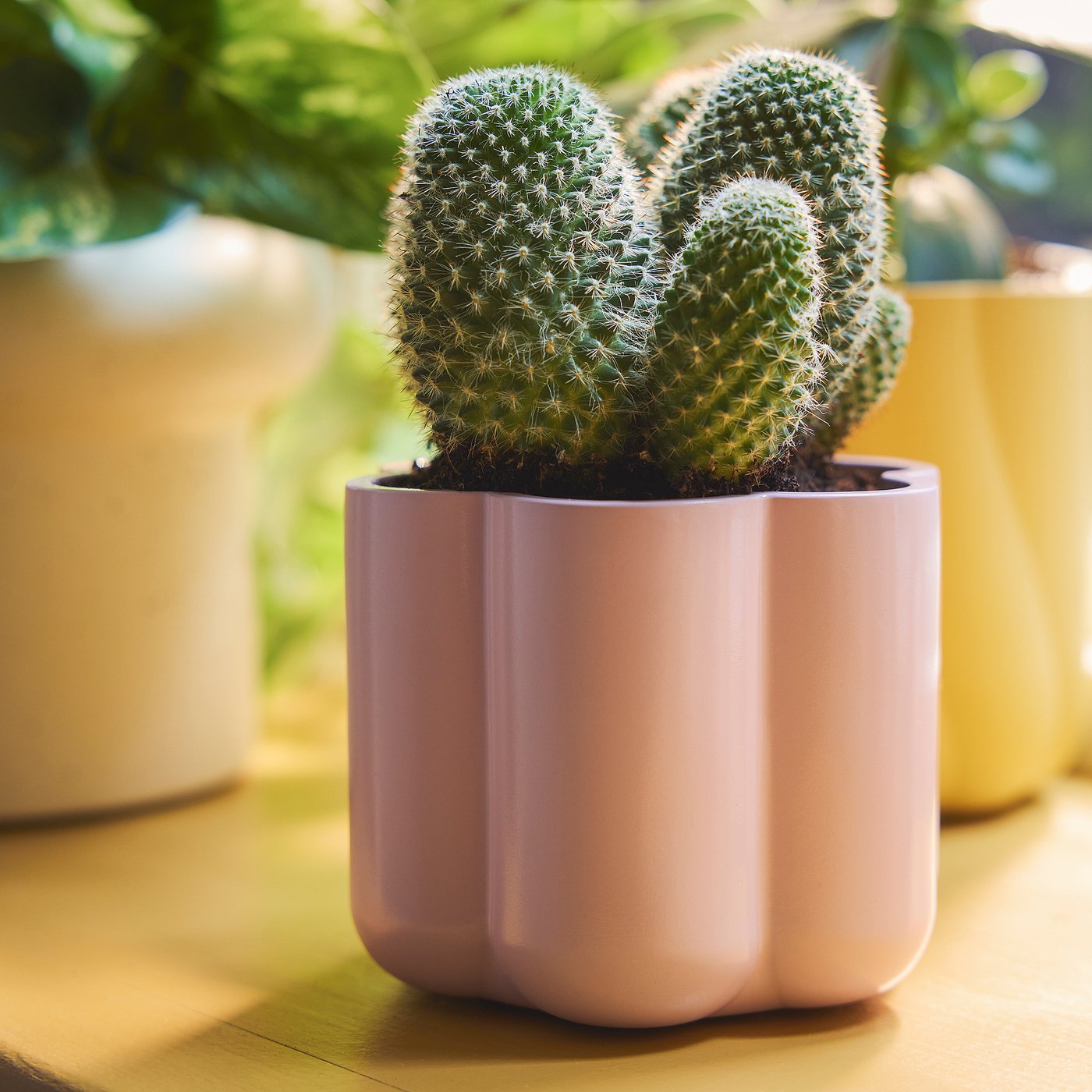 DOFTRIPS plant pot, light pink, 9 cm