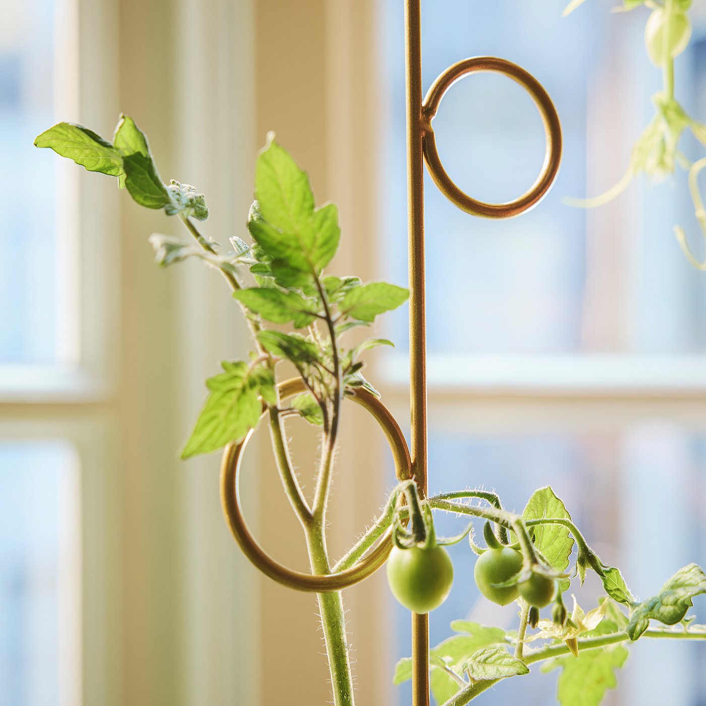 DOFTRIPS plant support set of 2, in/outdoor/mixed shapes