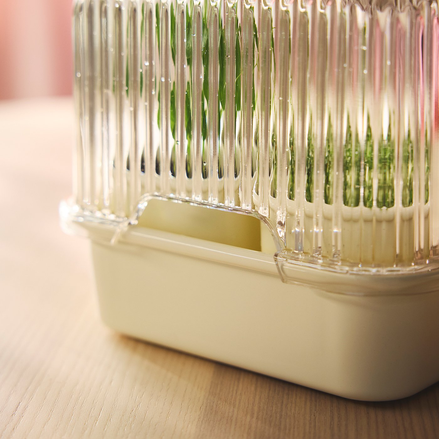 DOFTRIPS growing set, transparent/off-white, 16x14.5x16 cm