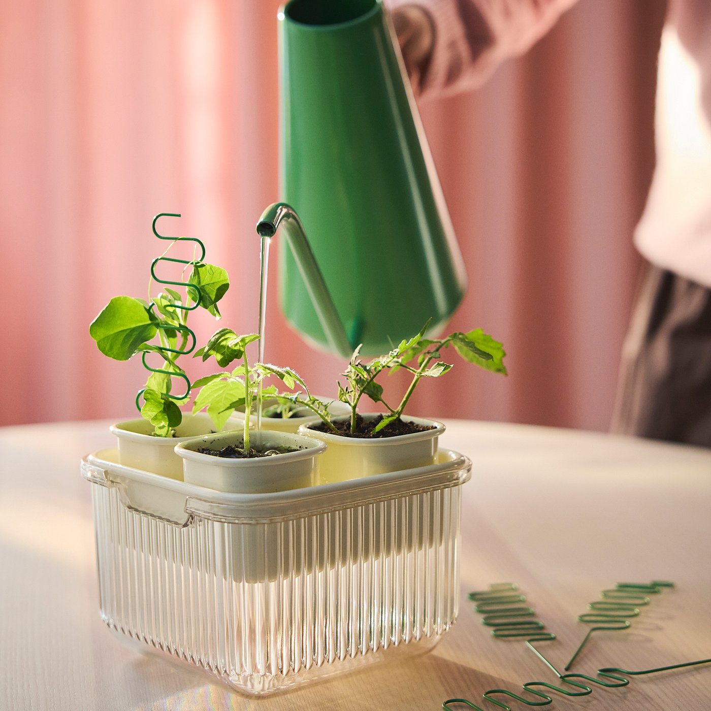 DOFTRIPS growing set, transparent/off-white, 16x14.5x16 cm