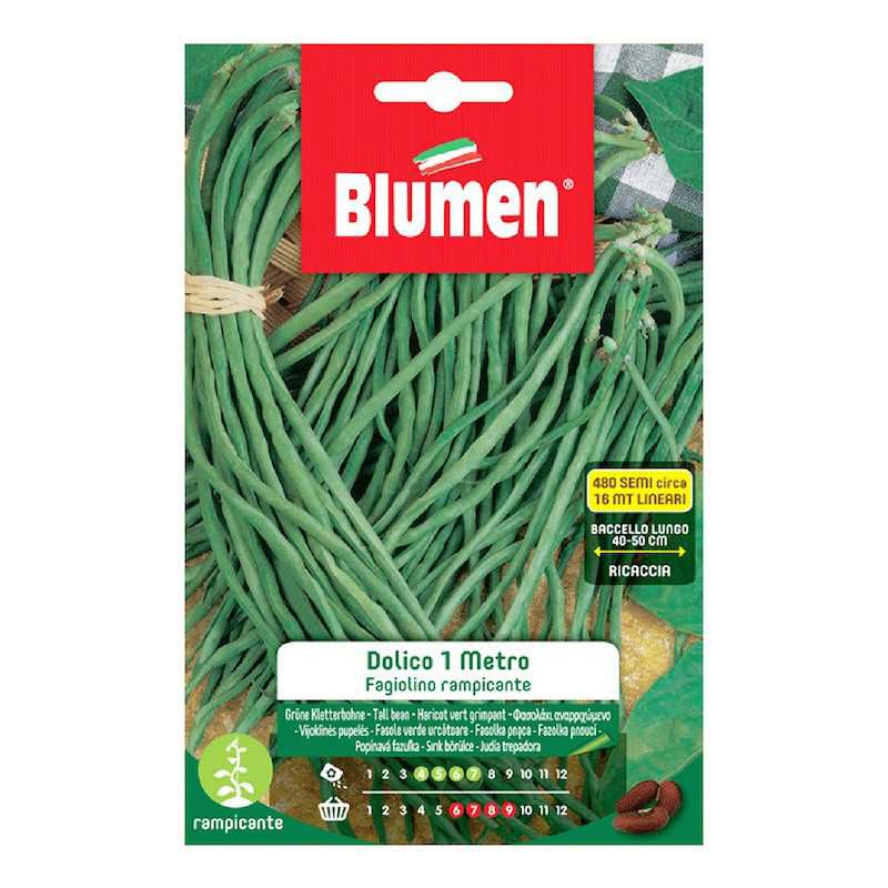 DWARF BOBIS GREEN BEANS