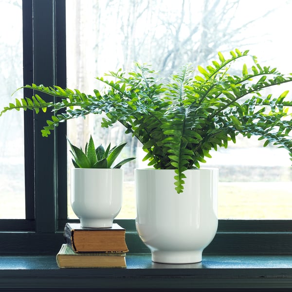 DRÖMSK - DRÖMSK Plant pot, white, 9 cm