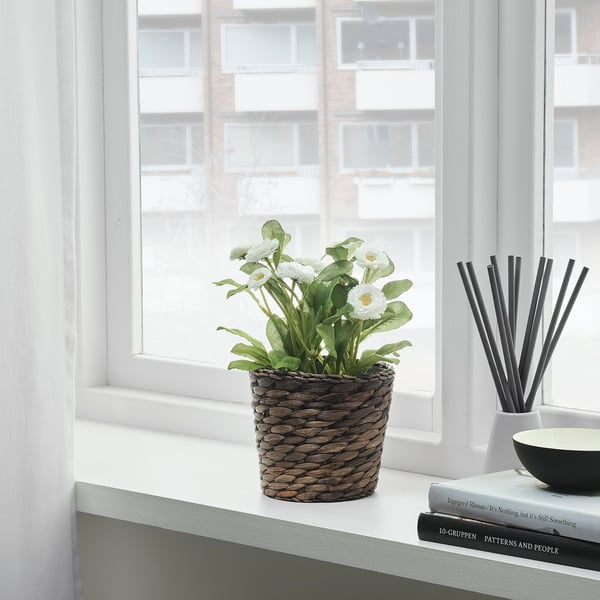 DRUVFLÄDER - DRUVFLÄDER Plant pot, water hyacinth/grey, 12 cm