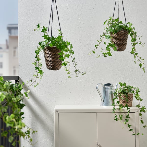 DRUVFLÄDER hanging planter, water hyacinth/grey, 14 cm