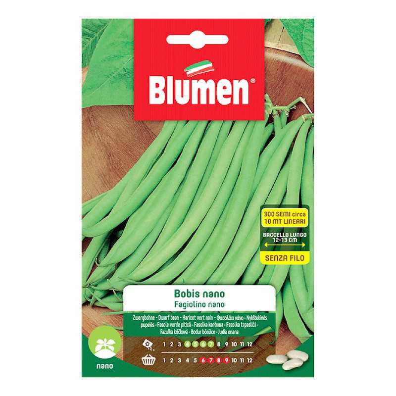 DWARF BOBIS GREEN BEANS