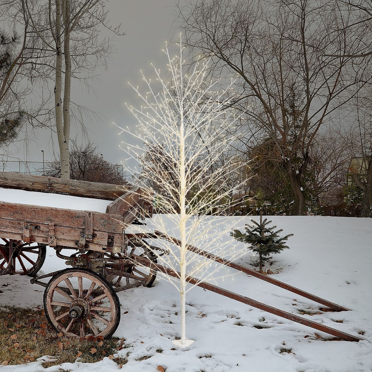 Albero luminoso luce calda tiglio bianco 1120 micro led h200 cm