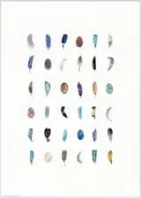 BILD poster, Colourful feathers, 50x70 cm