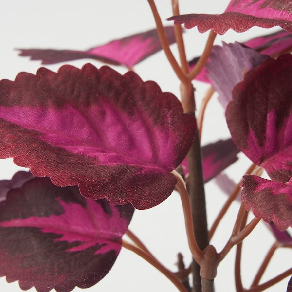 FEJKA - Artificial potted plant, in/outdoor Painted nettle/red, 9 cm