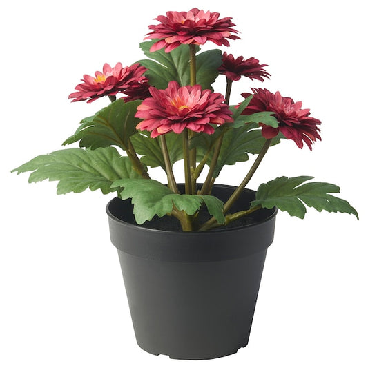 FEJKA - Artificial potted plant, in/outdoor Chrysanthemums, 12 cm