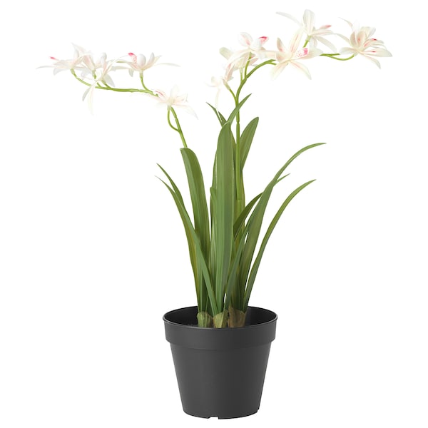 FEJKA - Pianta artificiale con vaso, orchidea gialla,12 cm