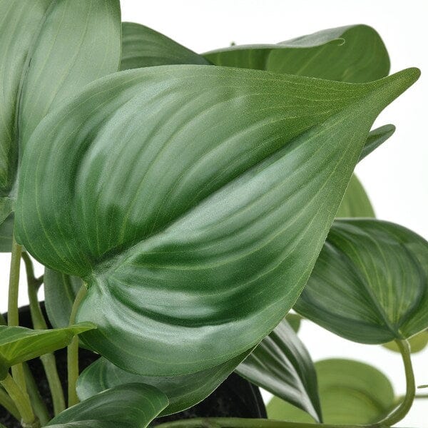 Ikea FEJKA - Artificial potted plant, in/outdoor Golden Pothos/hanging, 12 cm