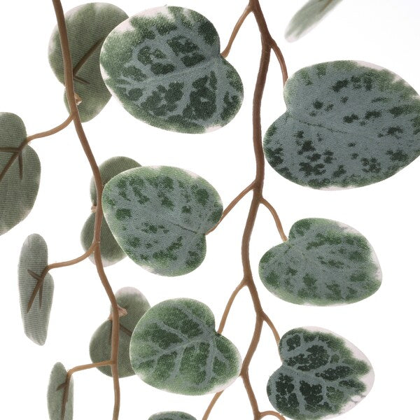 FEJKA - Artificial potted plant, in/outdoor hanging/String of hearts, 9 cm