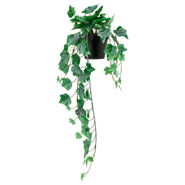 FEJKA artificial potted plant, in/outdoor/hanging Ivy, 12 cm