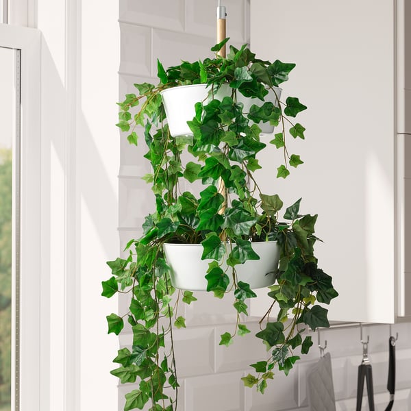 FEJKA artificial potted plant, in/outdoor/hanging Ivy, 12 cm