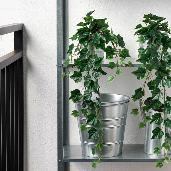 FEJKA artificial potted plant, in/outdoor/hanging Ivy, 12 cm