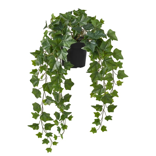 FEJKA - Artificial pot plant, indoor/outdoor hanging/ ivy, 15 cm