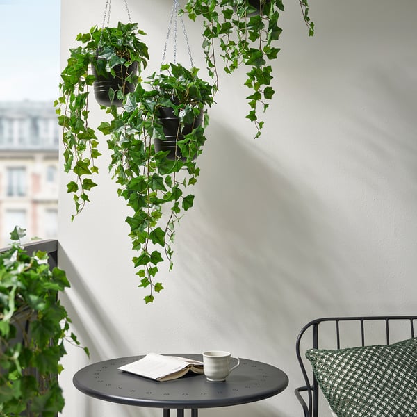 FEJKA - FEJKA Artificial potted plant, in/outdoor hanging/Ivy, 15 cm