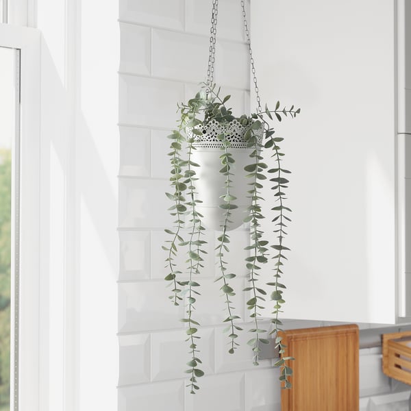 FEJKA - Artificial potted plant, in/outdoor hanging/eucalyptus, 9 cm