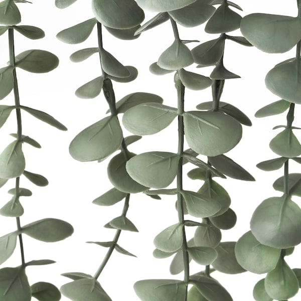 Ikea FEJKA - Artificial potted plant, in/outdoor hanging/eucalyptus, 9 cm