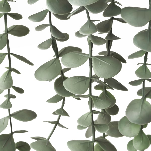 FEJKA artificial potted plant, in/outdoor hanging/eucalyptus, 9 cm