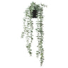 FEJKA artificial potted plant, in/outdoor hanging/eucalyptus, 9 cm