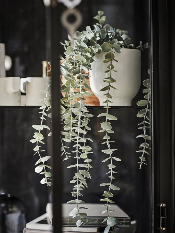 FEJKA artificial potted plant, in/outdoor hanging/eucalyptus, 9 cm