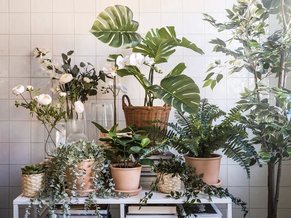 FEJKA - Artificial potted plant, in/outdoor hanging/eucalyptus, 9 cm