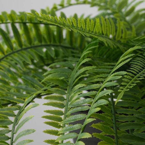 Ikea FEJKA - Artificial potted plant, in/outdoor hanging/fern, 12 cm