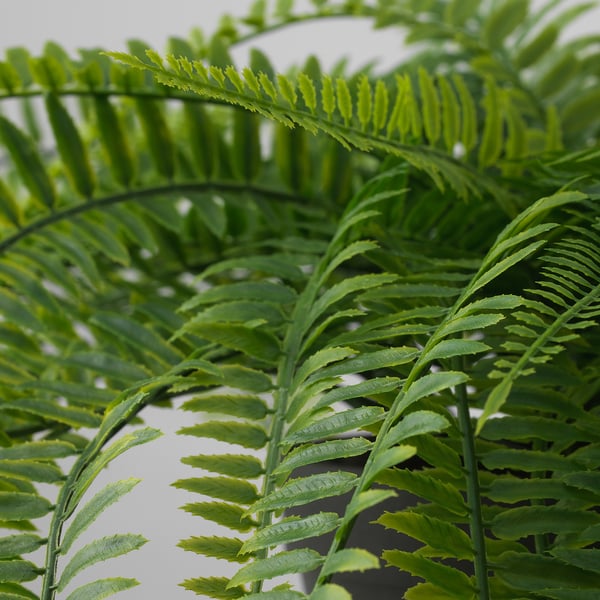FEJKA artificial potted plant, in/outdoor hanging/fern, 12 cm