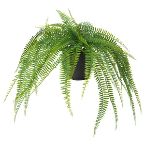 FEJKA artificial potted plant, in/outdoor hanging/fern, 12 cm