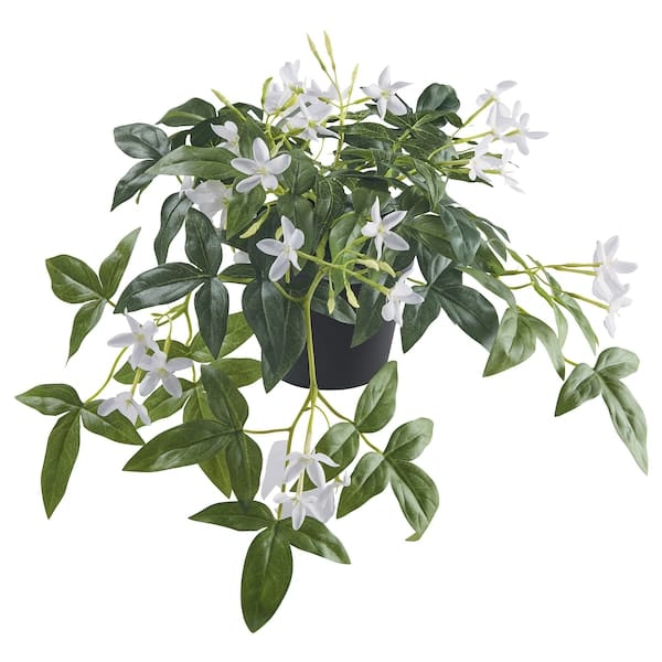 FEJKA - Artificial potted plant, in/outdoor/hanging jasmine, 12 cm