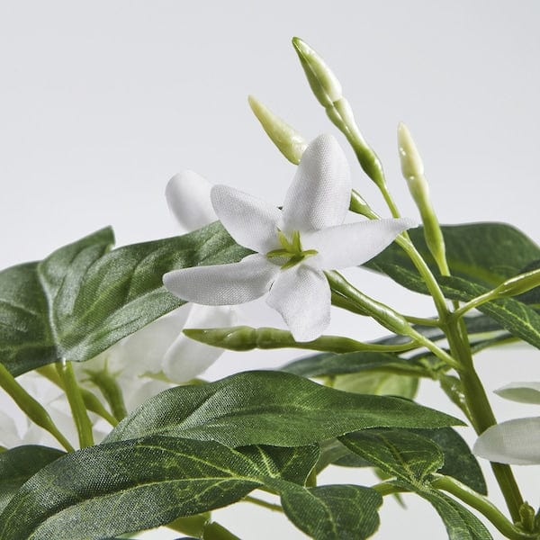 Ikea FEJKA - Artificial potted plant, indoor/outdoor/hanging jasmine,12 cm