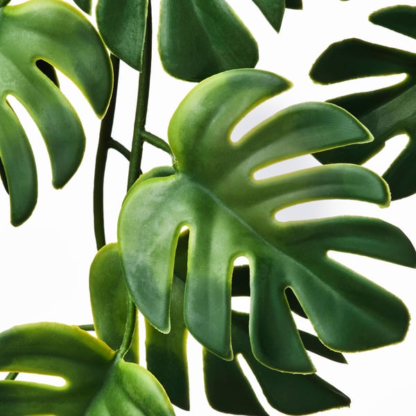 FEJKA artificial potted plant, indoor/outdoor hanging/monster plant, 9 cm