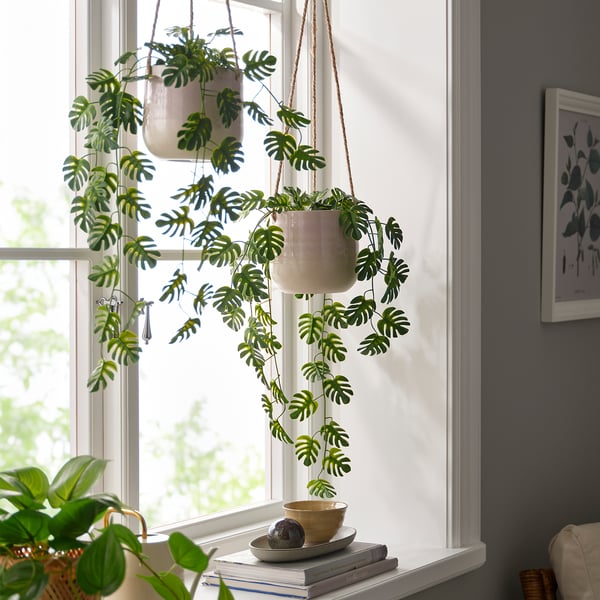 FEJKA artificial potted plant, indoor/outdoor hanging/monster plant, 9 cm