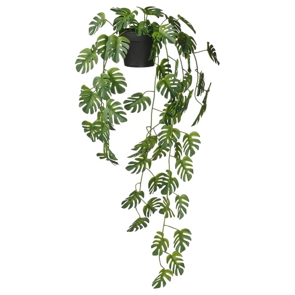 FEJKA artificial potted plant, indoor/outdoor hanging/monster plant, 9 cm