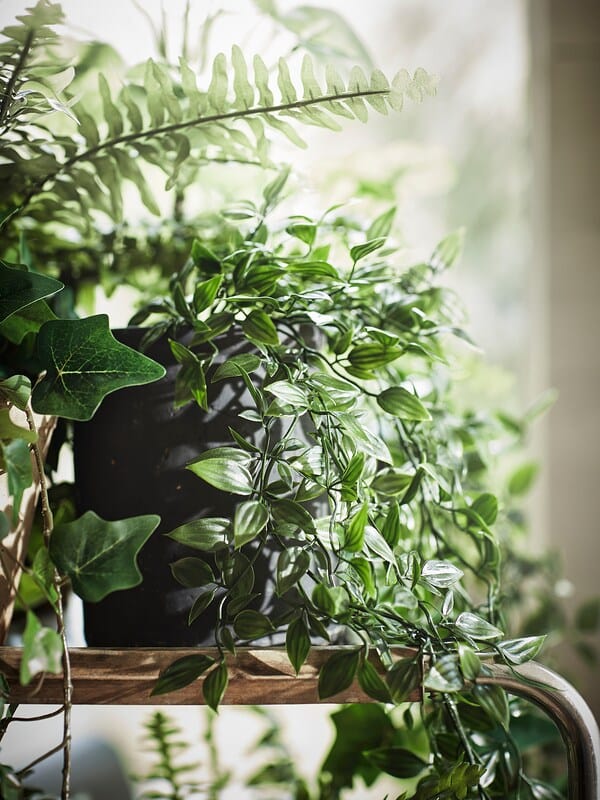 Ikea FEJKA - Artificial potted plant, in/outdoor/hanging, 9 cm