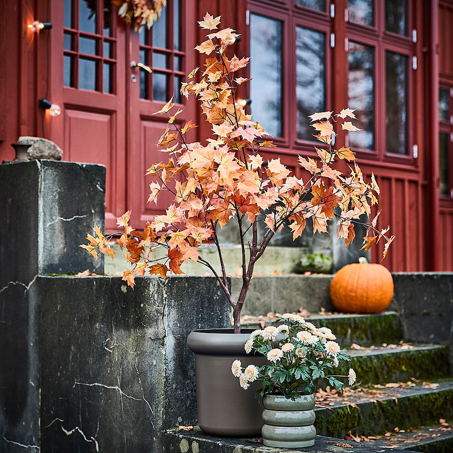 FEJKA artificial potted plant, in/outdoor/maple tree orange-brown, 19 cm