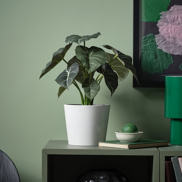 FEJKA artificial potted plant, in/outdoor Alocasia, 12 cm