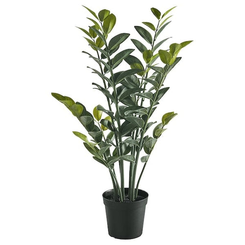 FEJKA artificial potted plant, in/outdoor Aroid palm, 15 cm