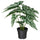 FEJKA artificial potted plant, in/outdoor Wondrous cerces, 15 cm
