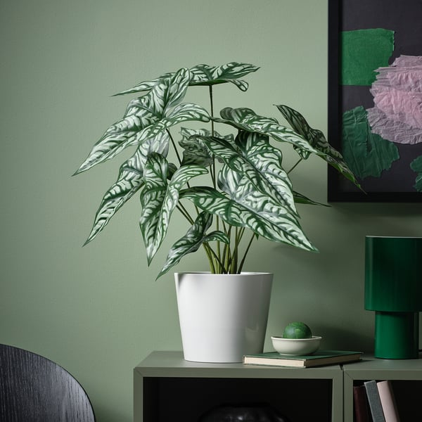 FEJKA - FEJKA Artificial potted plant, in/outdoor Wondrous cerces, 15 cm