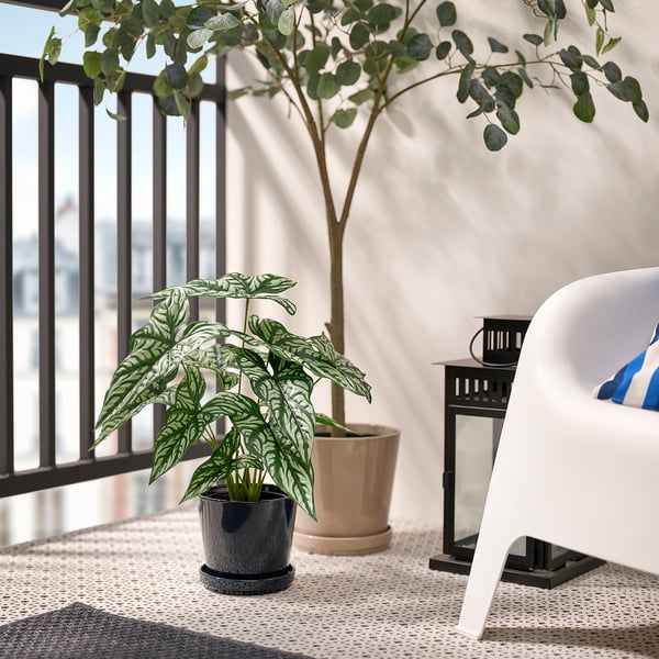 FEJKA artificial potted plant, in/outdoor Wondrous cerces, 15 cm