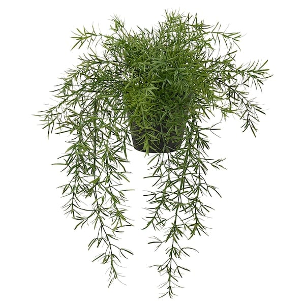 Ikea FEJKA - Artificial potted plant, indoor/outdoor asparagus/suspended,12 cm