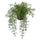 FEJKA artificial potted plant, in/outdoor Asparagus/hanging, 12 cm