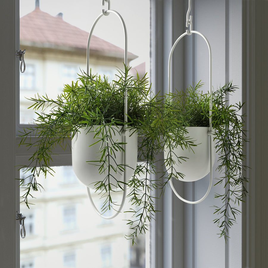 FEJKA artificial potted plant, in/outdoor Asparagus/hanging, 12 cm