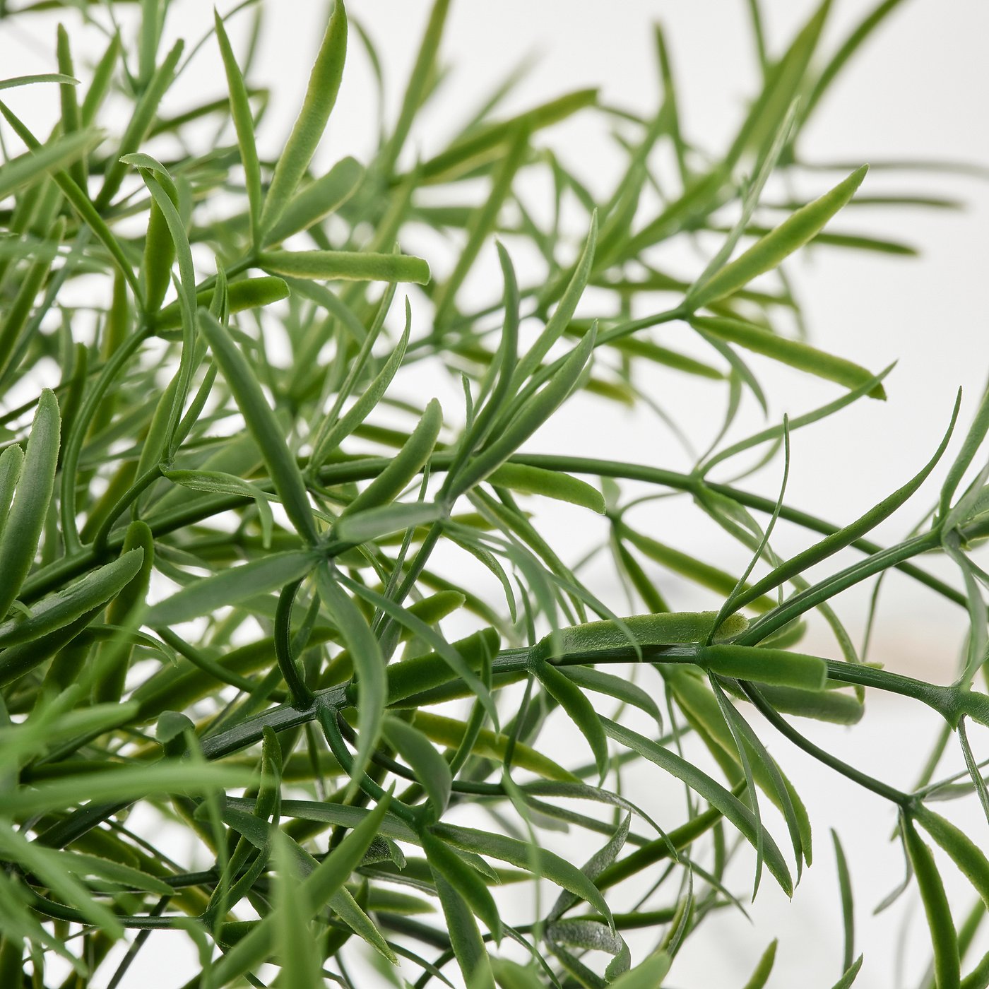 FEJKA artificial potted plant, in/outdoor Asparagus/hanging, 12 cm