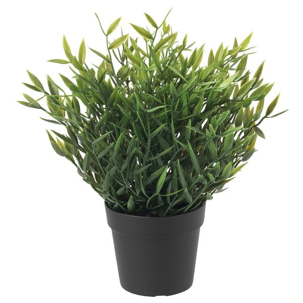 FEJKA - FEJKA Artificial potted plant, in/outdoor House bamboo, 9 cm