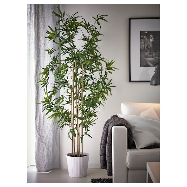 FEJKA - Artificial potted plant, in/outdoor bamboo, 23 cm