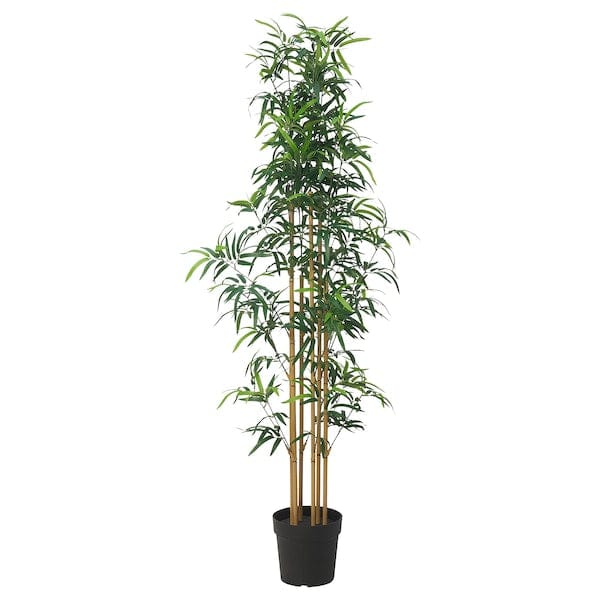 FEJKA - Artificial potted plant, in/outdoor bamboo, 23 cm